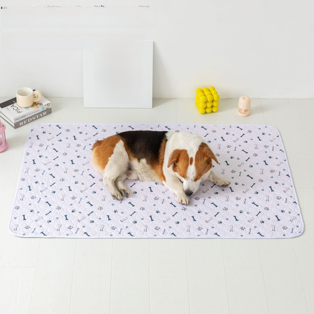 DryPaws 4-Layer Leak-Proof Pet Training Pads