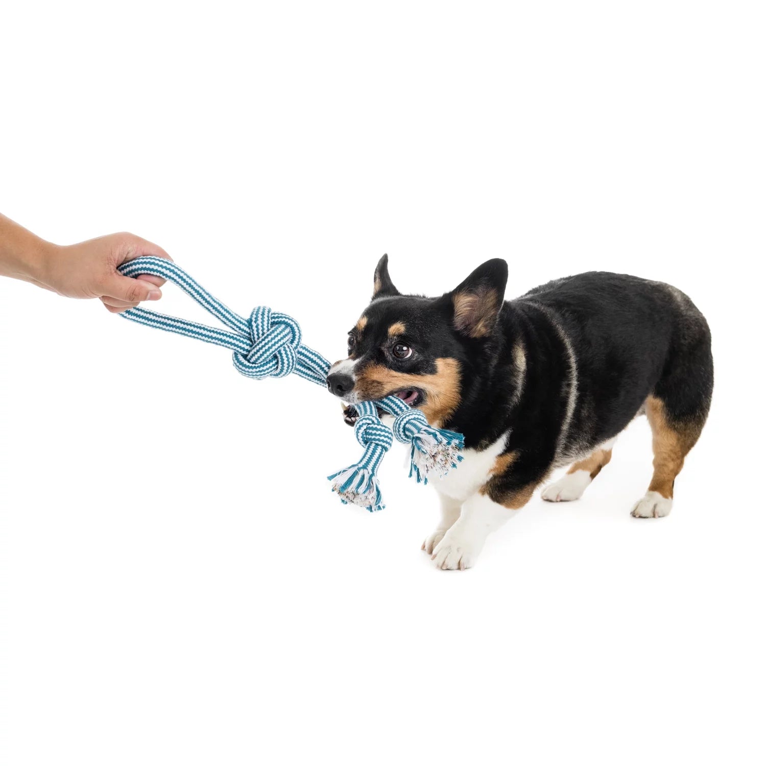 Durable 18" Flossy Chews Double-Tug Cotton-Blend Dog Toy with Loop Handle - Perfect for Medium Dogs!