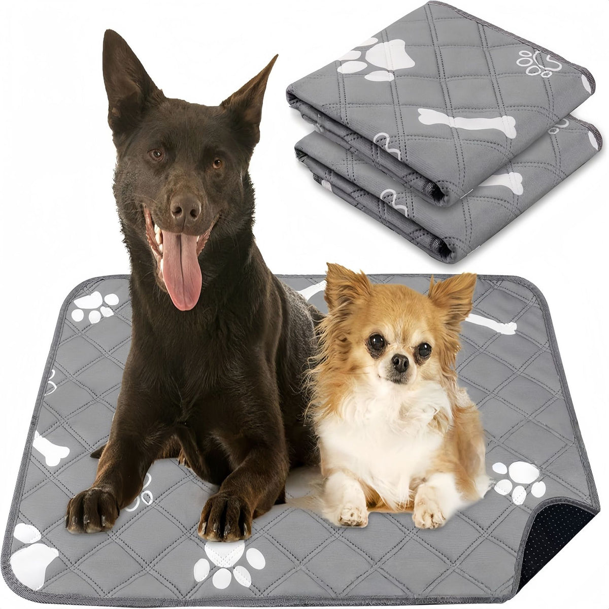 DryPaws 4-Layer Leak-Proof Pet Training Pads