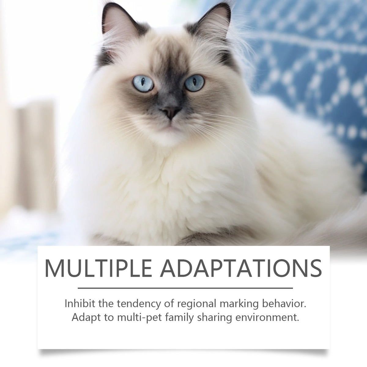 CalmNest Cat Behavior Spray