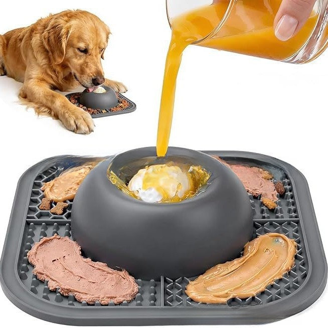 SlowDown Silicone Dog Feeder Bowl