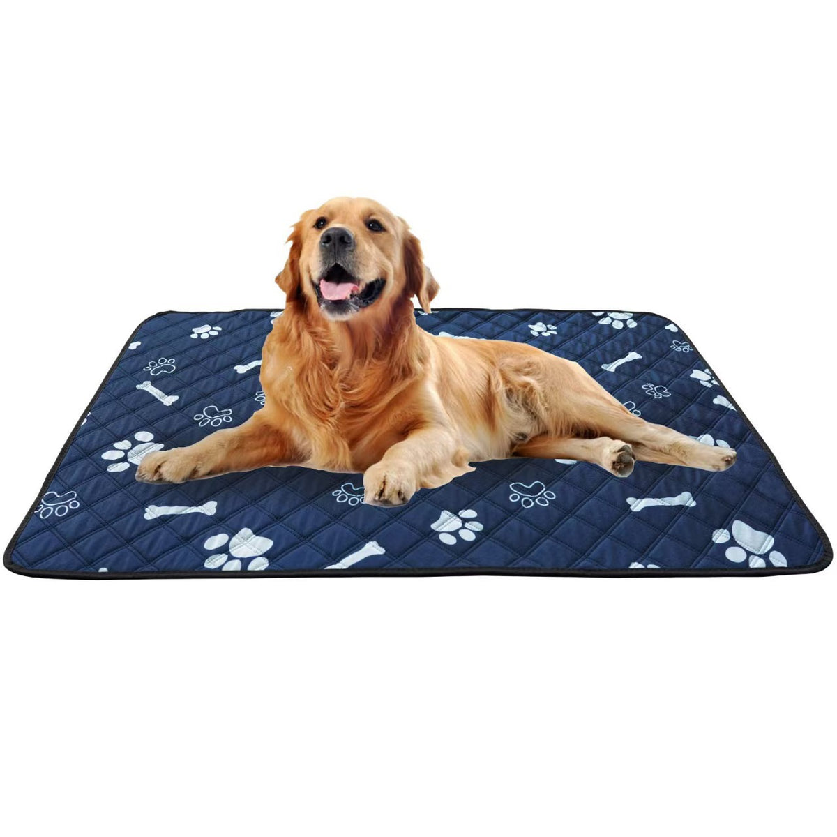 DryPaws 4-Layer Leak-Proof Pet Training Pads