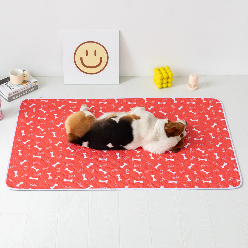 DryPaws 4-Layer Leak-Proof Pet Training Pads