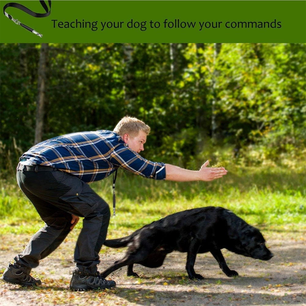ClearCue Adjustable Ultrasonic Pet Whistle