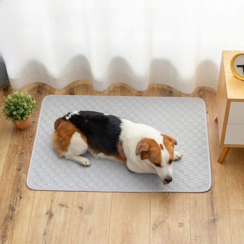 DryPaws 4-Layer Leak-Proof Pet Training Pads