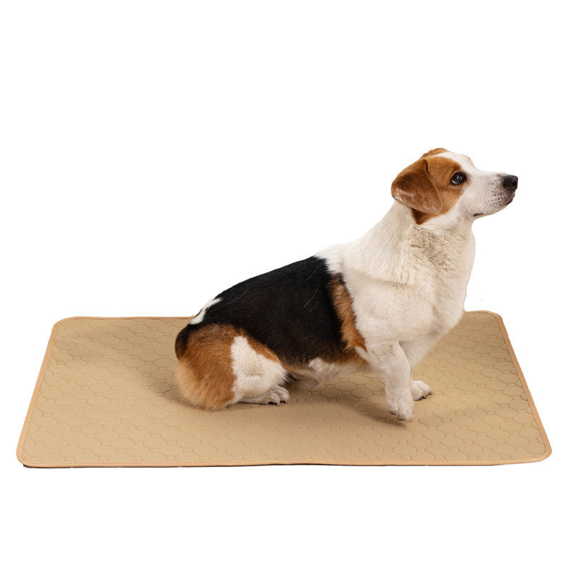 DryPaws 4-Layer Leak-Proof Pet Training Pads